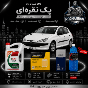 پک نقره‌ای 206 تیپ 2 و 3 (TU3)